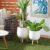 Best Indoor Planter Stand 2023