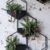 Best Modern Wall Planters 2023