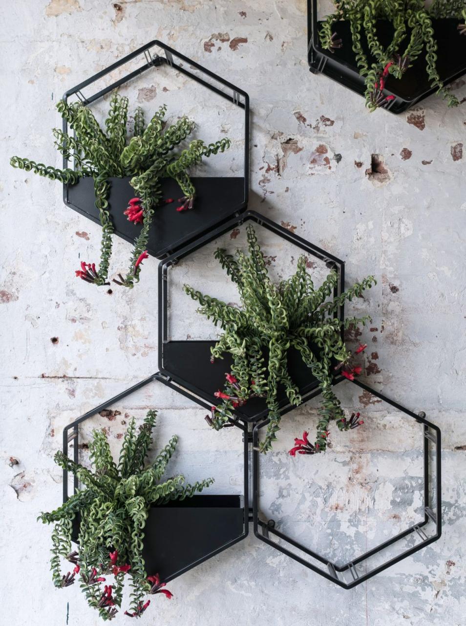Wabe Wall Planter Oblica Melbourne Modern Designer Fireplaces