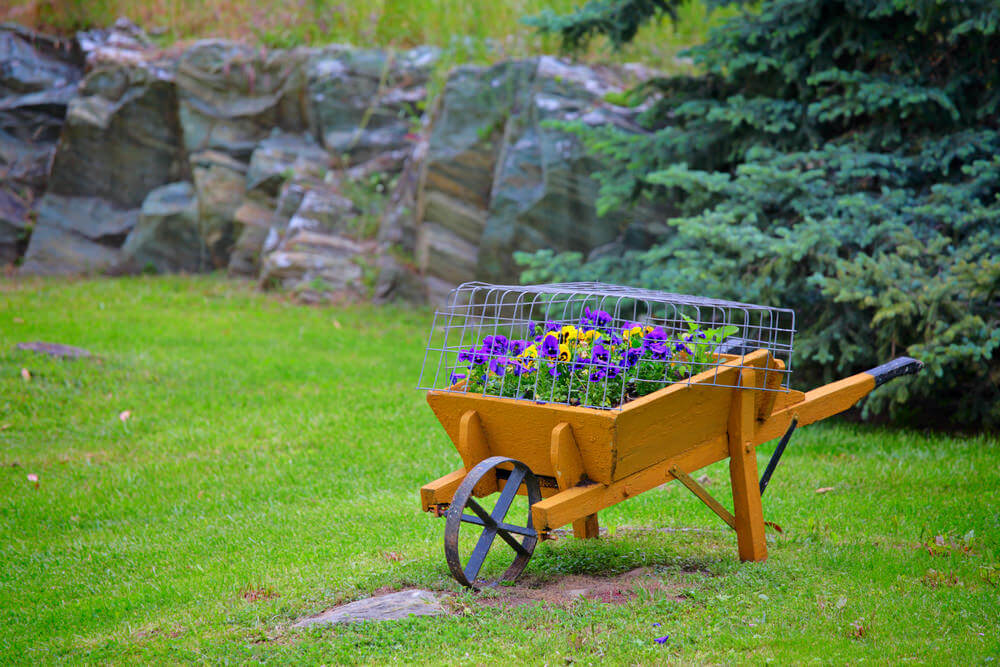 27 Wheelbarrow Flower Planter Ideas for Your Yard