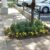 Wonderful Planters Walk Hoa 2023
