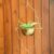 Fantastic Hanging Metal Planter 2023