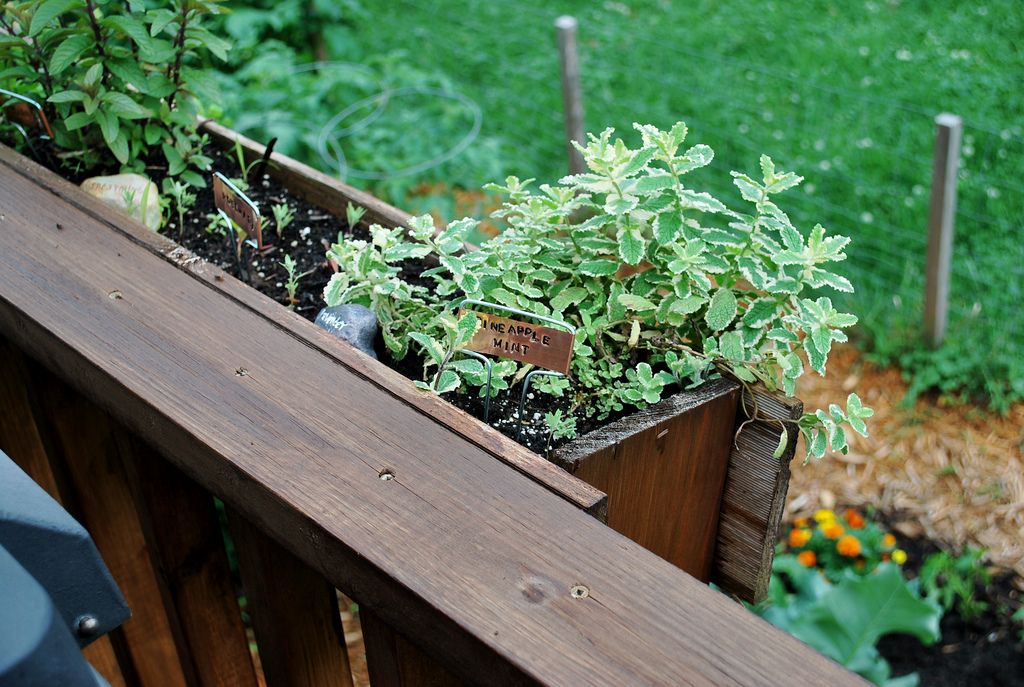 To the "herbs" NewlyWoodwards Deck garden, Herbs, Planter boxes