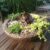 Perfect How To Make Hypertufa Planters Ideas