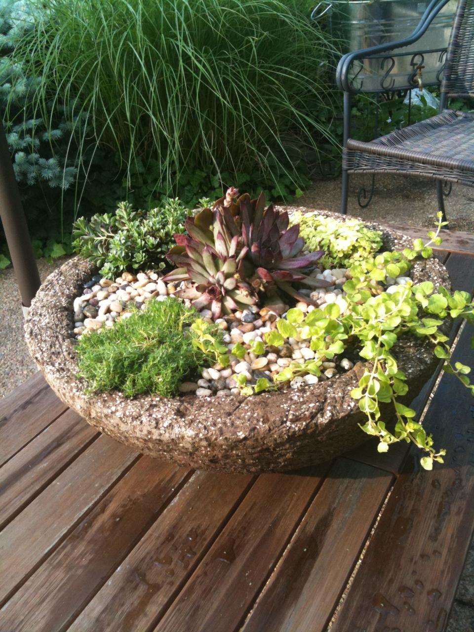 hypertufa planter made by a friend...love it! Hypertufa, Planters