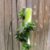 Famous Pvc Pipe Planters Ideas