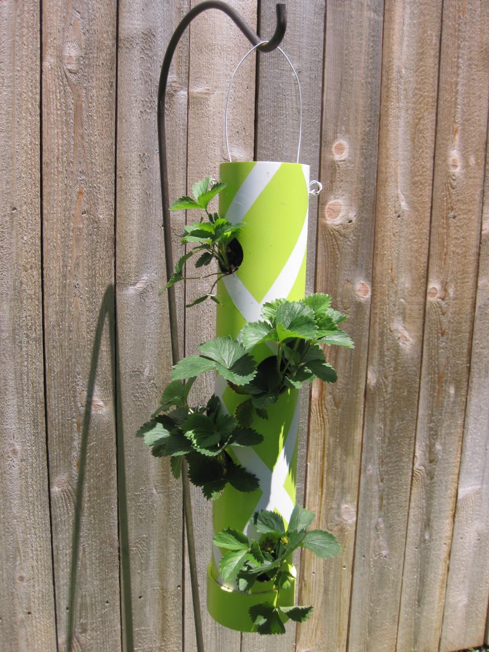 PVC Hanging Planter who says they can't be cute Strawberry planters