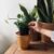 Inspiring Planters Without Holes 2023