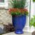 Inspiring Flower Arrangements For Outside Planters References