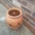 Remarkable Terracotta Strawberry And Herb Planter Ideas