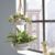 Easy Hanging Indoor Planters 2023