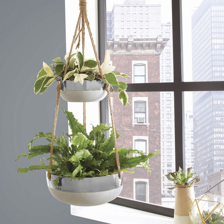 Double Hanging Planter Indoor Outdoor Ceramic Garden Window Decorative