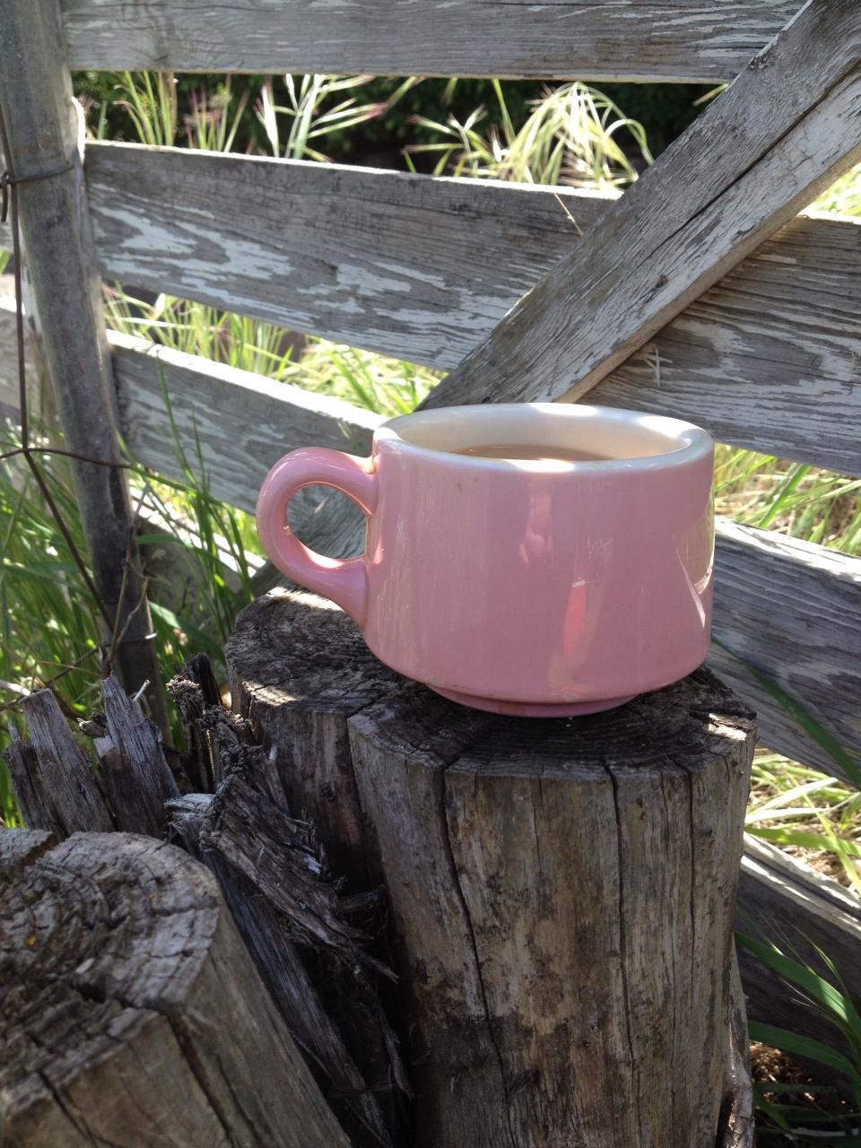 I need a coffee cup planter! Coffee love, Coffee cafe, Rustic design