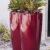 Best Indoor Planter Pots Ideas