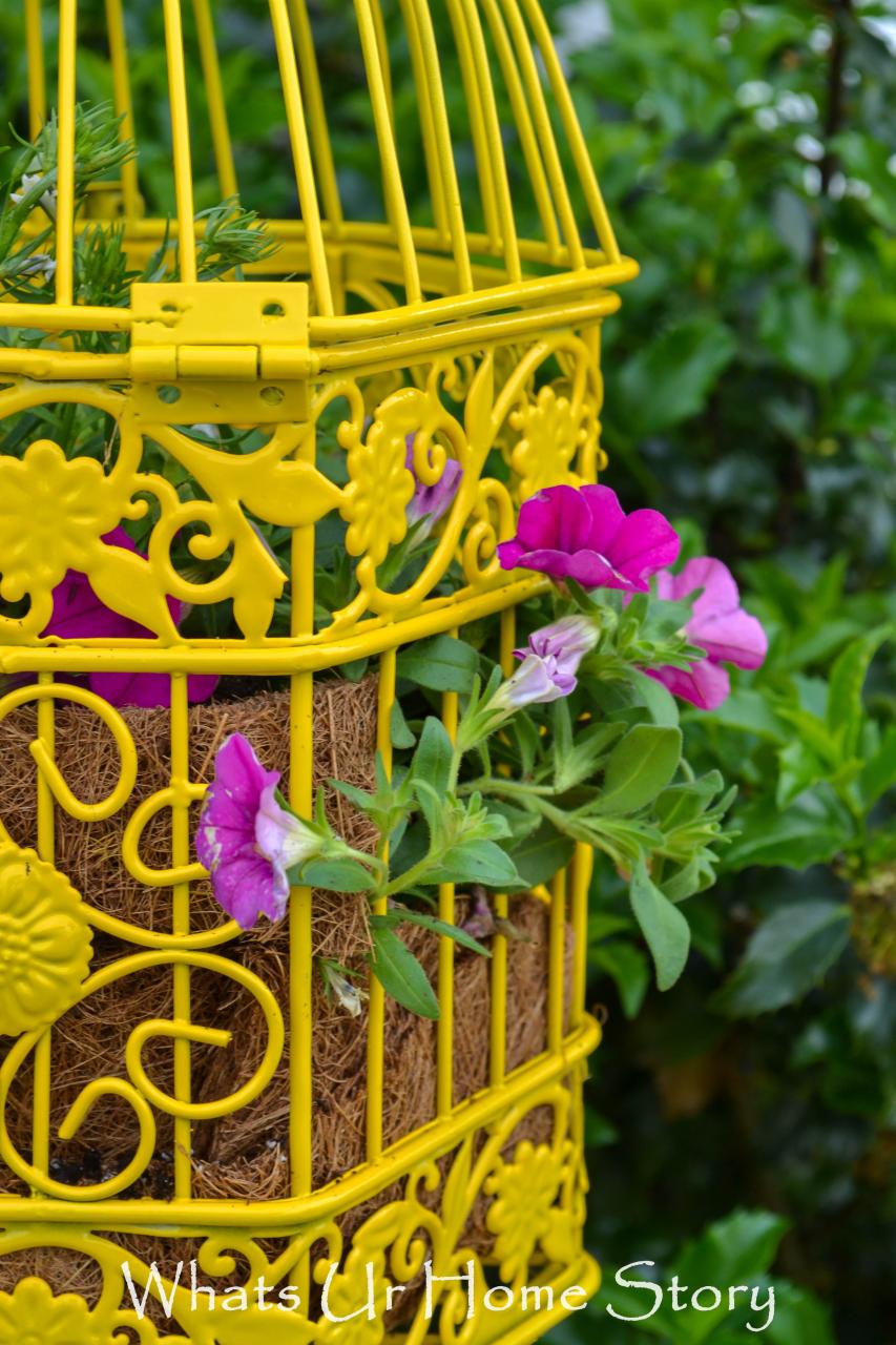 Bird Cage Planter Whats Ur Home Story