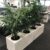 Famous Large Indoor Planters Pots Ideas