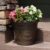 Picture Of Patio Pots And Planters 2023