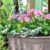 Remarkable Garden Containers Pots And Planters 2023