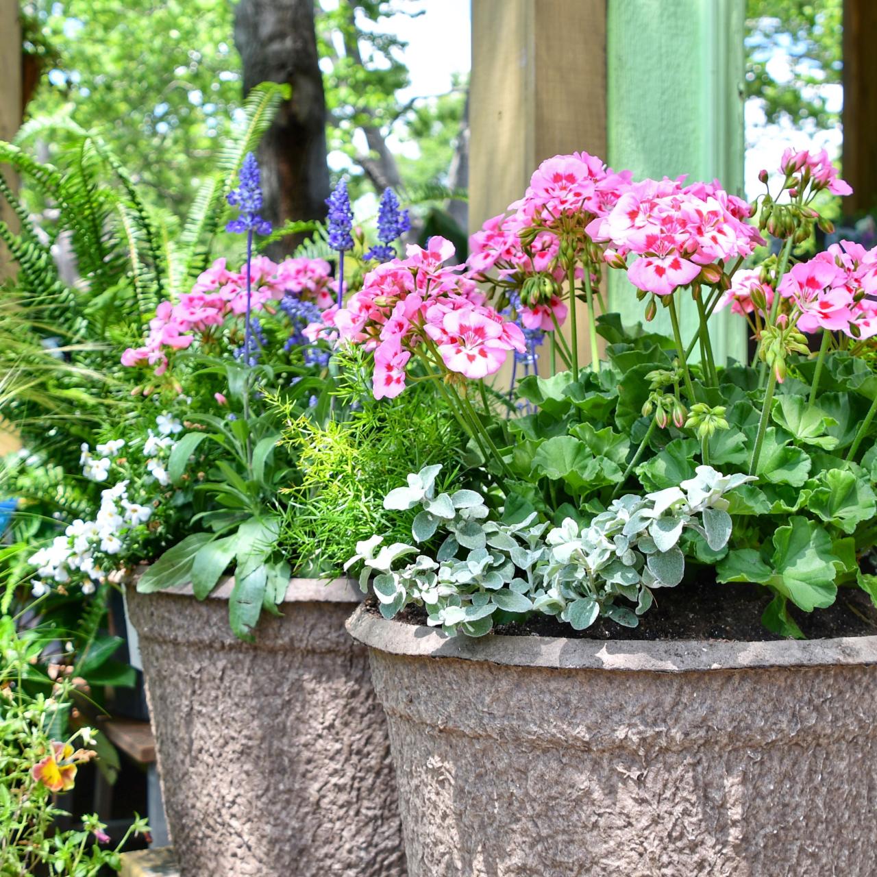 custom containers from Atlantic Gardening Company in Raleigh