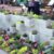 Perfect Block Wall Planters References