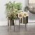 Inspirational Indoor House Planters References