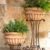 Gorgeous Wrought Iron Wall Planters Outdoor References