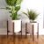 Great Mid Century Planter Ideas