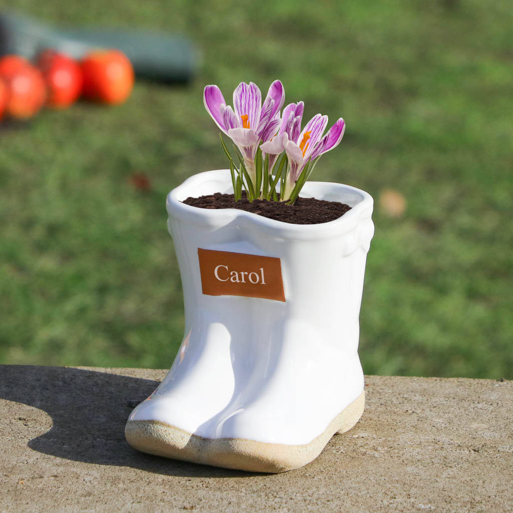 Personalised Mini White Welly Boot Planter By Dibor