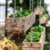 Outstanding Hanging Planter Boxes Ideas