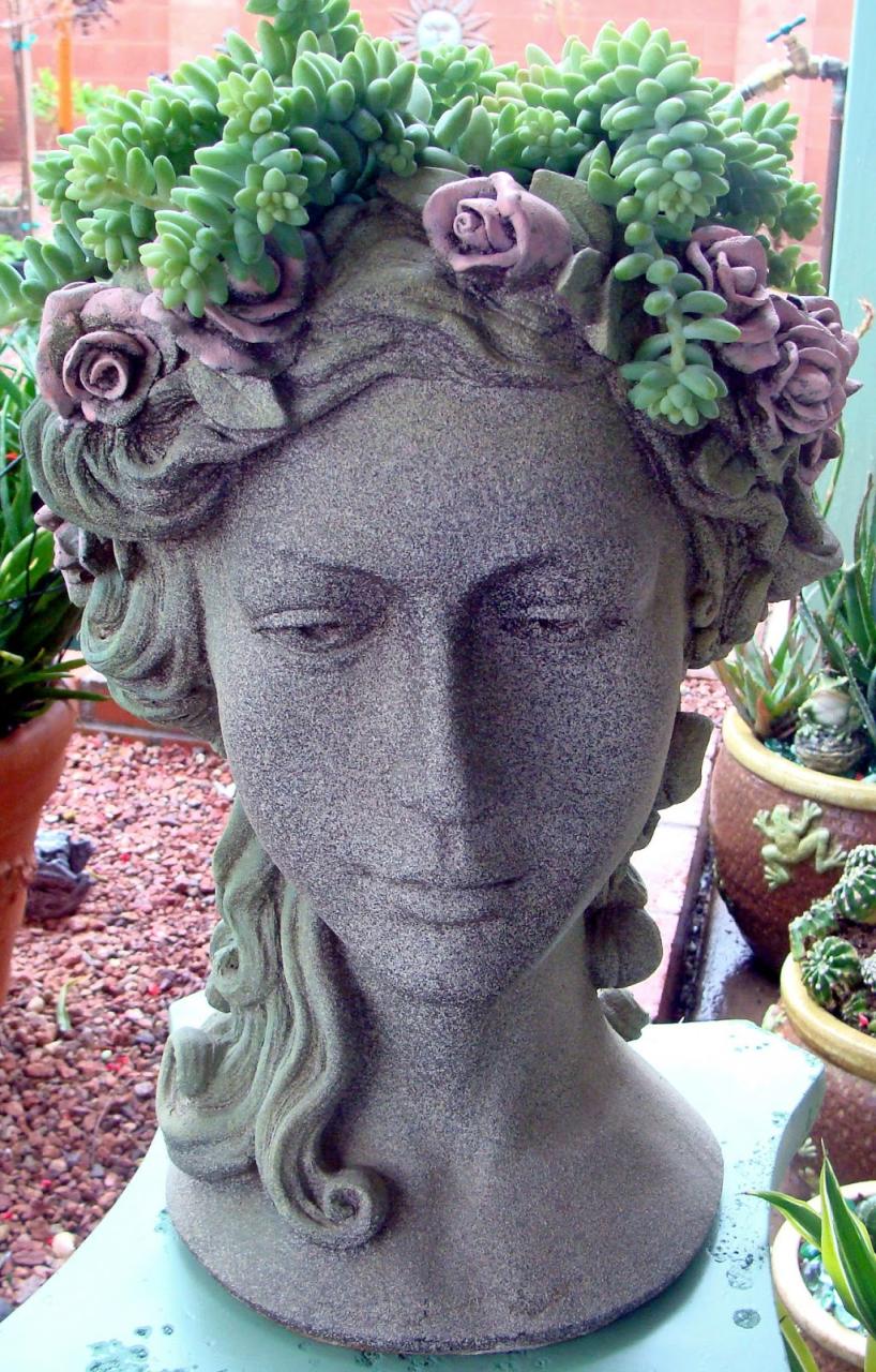 15 Dazzling DIY Head Planters Do it yourself ideas and projects