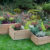 Attractive Rectangular Wooden Planters References